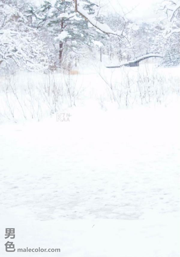 Whoseman-11-國民男友-阿部